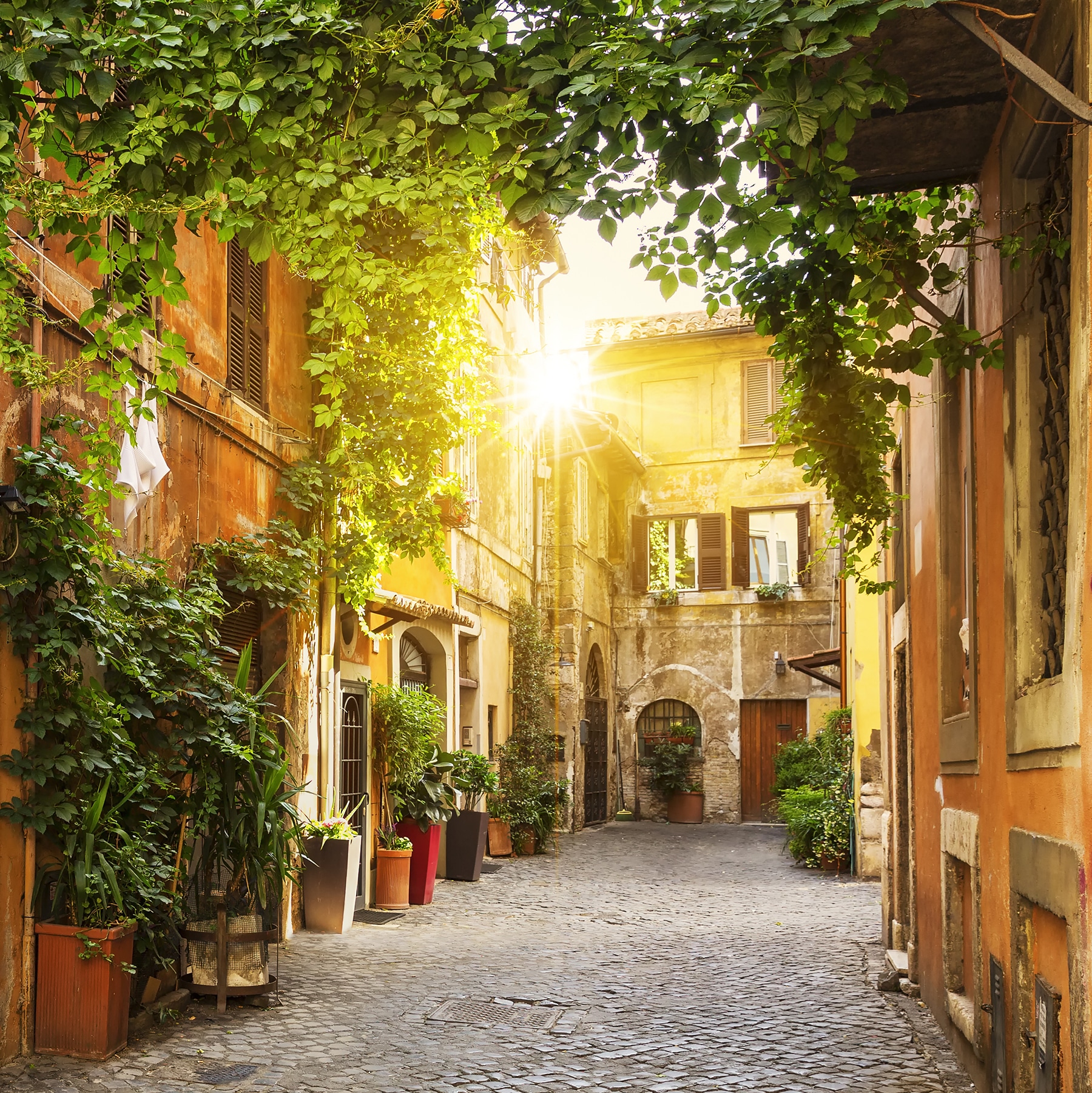 View of Old street in Trastevere in Rome - Metro Continuing Education